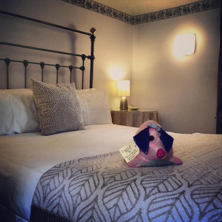 Merrijig Inn Port Fairy Quarto foto